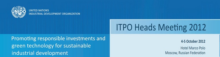 Встреча глав ITPO: новые направления деятельности ЮНИДО