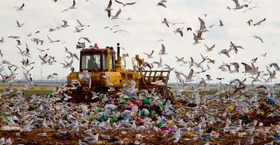 ЕС выносит предложения о переходе к экономике замкнутого цикла и запрете мусорных полигонов