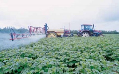Интенсивные технологии выращивания картофеля — одно из условий хорошего урожая