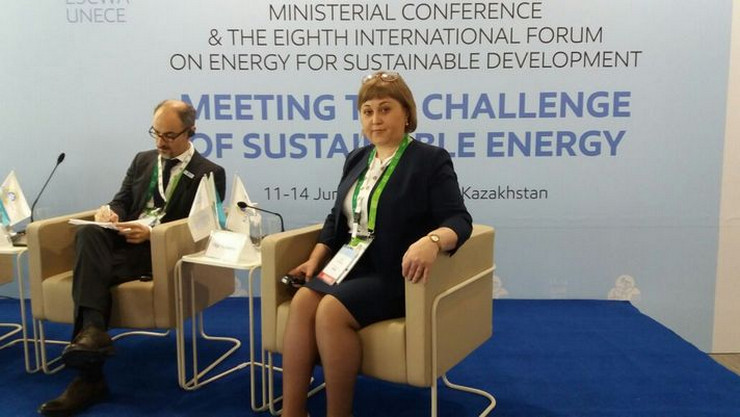 Компания-партнер проекта ЮНИДО поделилась достигнутыми результатами на Восьмом международном форуме по энергетике для устойчивого развития
