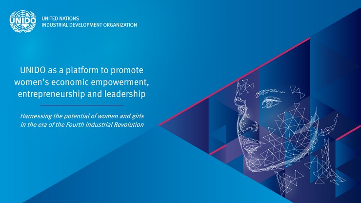 ЮНИДО совместно с экспертами разработала онлайн-курс «Цифровые бизнес-инновации для женщин-предпринимателей и менеджеров»